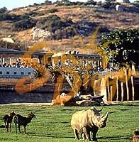 World Famous San Diego Zoo
