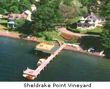 Sheldrake Point Vineyard