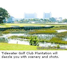 Tidewater Golf Club