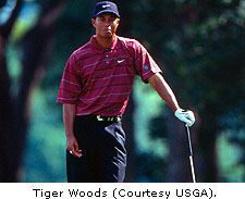 Tiger Woods