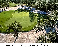 No. 6 at Tiger's Eye Golf Links