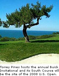 Torrey Pines