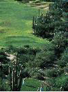 The Miraval Life