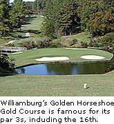 Golden Horseshoe Gold Course
