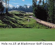 No. 15 at Blackmoor Golf Course