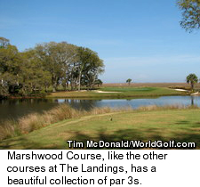 The Landings' Marshwood Course - Par 3s