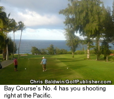 Bay Course at Kapalua Resort - No. 4