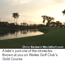 Wailea Gold course - Lake