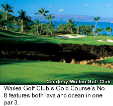 Wailea Gold course - Hole 8