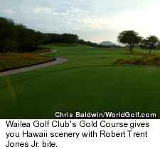 Wailea Gold course - Scenery