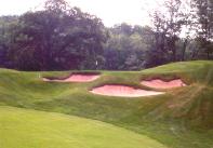 Tom Fazio Premier Classic Treetops