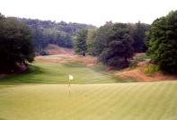 Tom Fazio Premier Classic Treetops