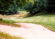Tom Fazio Premier Classic Treetops