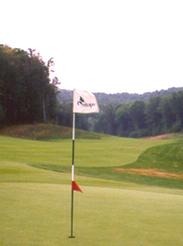 Tom Fazio Premier Classic Treetops