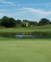 Marion Oaks Golf Club in Howell