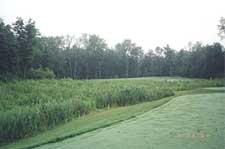 Pheasant Run Golf Club