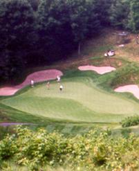 Threetops at Treetops Resort