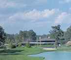 Bay Tree Plantation