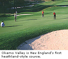 Okemo Valley