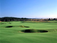 Bandon Dunes Golf Resort