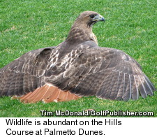The Arthur Hills Course - Wildlife