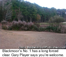 Blackmoor Golf Course - No. 1