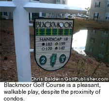 Blackmoor Golf Course - No. 2 Condos