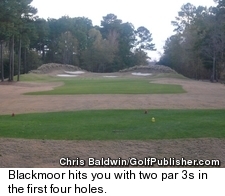 Blackmoor Golf Course - No. 2's Green