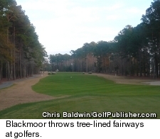 Blackmoor Golf Course - Tree lined fairways
