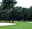 Hilton Head National Golf Club - Weed Course - Hole 3