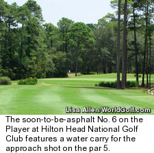 Hilton Head National Golf Club - Weed Course - Hole 6