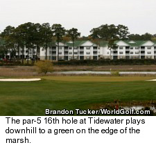 Tidewater Golf Club - No.16