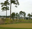 Tidewater Golf Club - Marsh