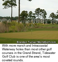 Tidewater Golf Club - Marsh