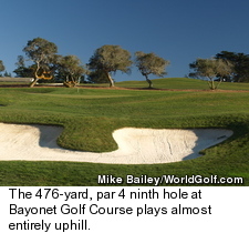 Bayonet Golf Course - Hole 9