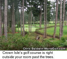 Crown Isle Resort - Trees