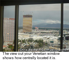 Venetian Hotel View