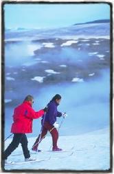 World Ice Golf Championship