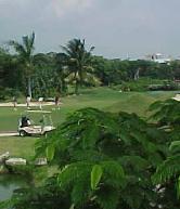 Playacar