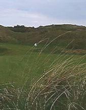 The Island Golf Club