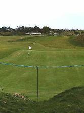 The Island Golf Club