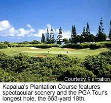 Kapalua's Plantation Course
