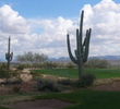 Scottsdale Golf - Cactus