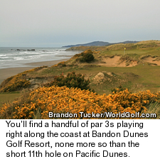 Pacific Dunes - No. 11