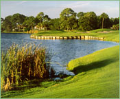 Sawgrass