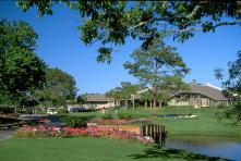 Sawgrass