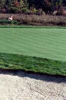 The Shenendoah Golf Club