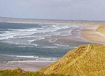 Tralee