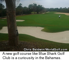Blue Shark Golf Club