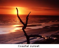 Coastal Sunset